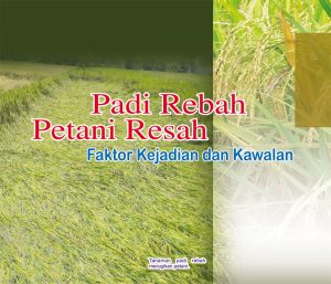 Read more about the article Padi Rebah Petani Resah, Faktor Kejadian dan Kawalan