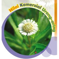 Nilai Komersial Urang-aring