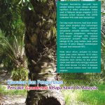 Kawalan dan Pengurusan Penyakit Ganoderma Kelapa Sawit Di Malaysia
