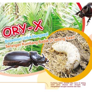 ORY-X : Biopestisid Untuk Mengawal Serangan Kumbang Badak Di ladang Sawit