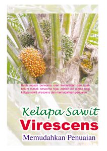 Read more about the article Kelapa Sawit Virescens Memudahkan Penuaian
