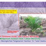 Teknik Penanaman Kelapa Sawit Secara Menyerong Bagi Memperbaiki Keadaan Pokok Tumbuh Menyerong Serta Meningkatkan Pengeluaran Hasilnya Di Tanah Gambut