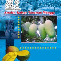 Amalan Kultur Tanaman Mangga