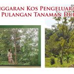 Anggaran kos pengeluaran dan pulangan tanaman durian