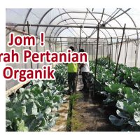 Jom! Ke arah Pertanian Organik
