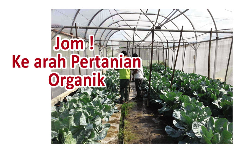 Read more about the article Jom! Ke arah Pertanian Organik