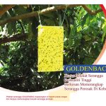 GOLDENBAC,Kertas Pelekat Serangga Berkualiti Tinggi Berkesan Memerangkap Serangga Perosak Di Kebun
