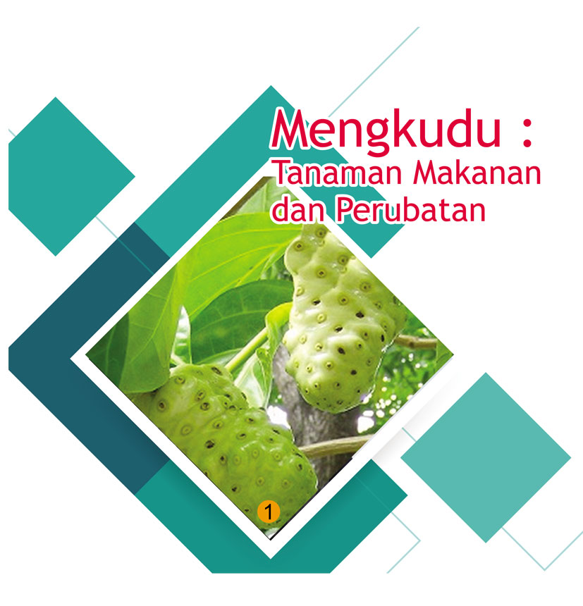 Read more about the article Mengkudu : Tanaman Makanan dan Perubatan