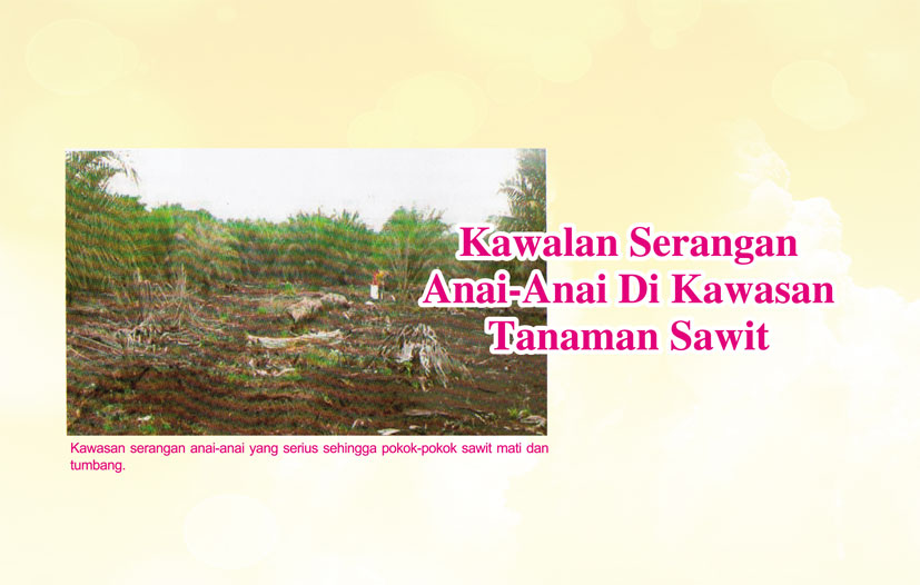 You are currently viewing Kawalan Serangan Anai-Anai Di Kawasan Tanaman Sawit
