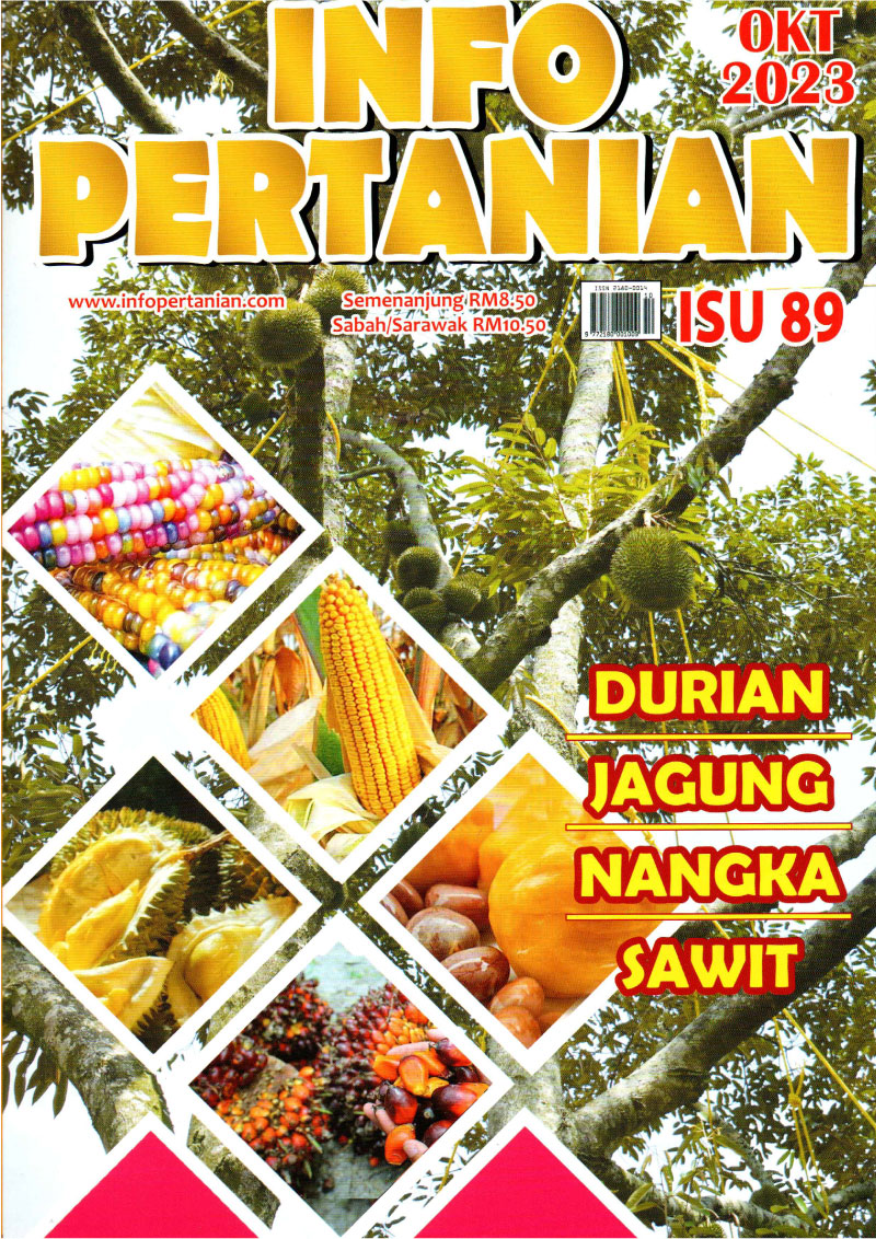 You are currently viewing INFO PERTANIAN ISU 89