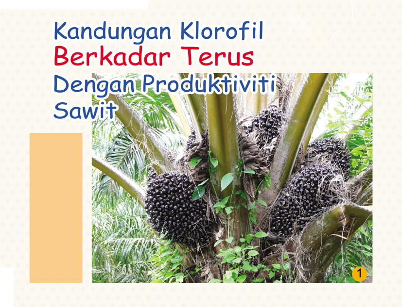Read more about the article Kandungan Klorofil Berkadar Terus Dengan Produktiviti Sawit