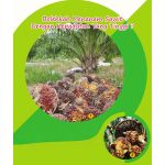 Bolehkah Menanam Sawit Dengan Kepadatan Yang Tinggi ?