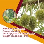 Hubungan Pembungaan, Pembentukan Buah Dan Keguguran Putik Buah Durian Dengan kelembapan Tanah