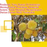 Penduduk Yang Ramai Di Indonesia Meningkatkan Permintaan Domestik Justeru Tidak Mungkin Mengesksport Durian Dalam Masa Tersingkat