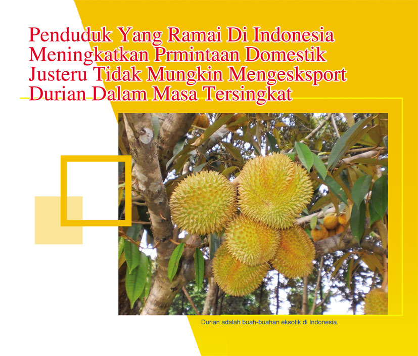 You are currently viewing Penduduk Yang Ramai Di Indonesia Meningkatkan Prmintaan Domestik Justeru Tidak Mungkin Mengesksport Durian Dalam Masa Tersingkat