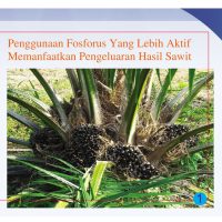 Penggunaan Fosforus Yang Lebih Aktif Memanfaatkan Pengeluaran Hasil Sawit