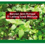 Bancian Jenis Rumpai Di Ladang Sawit Malaysia