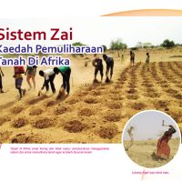 Sistem Zai Kaedah Pemuliharaan Tanah Di Afrika