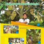 Mengenal Baka Durian Indonesia