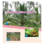 Kriteria Pemilihan Kelapa F2
