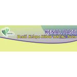 KENAL PASTI Benih Kelapa Hibrid MATAG Tulen