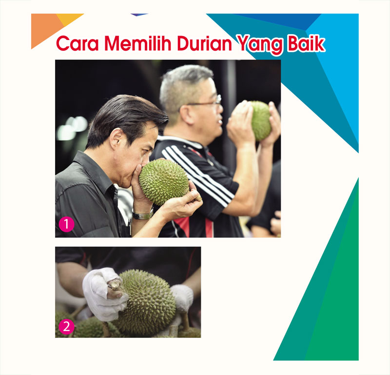 You are currently viewing Cara Memilih Durian Yang Baik