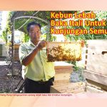 Kebun Lebah Baka Itali Untuk Kunjungan Semua