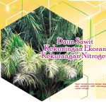 Daun Sawit Kekuningan Ekoran Kekurangan Nitrogen