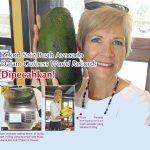 Rekod Saiz Buah Avocado Dalam Guiness World Records Dipecahkan!