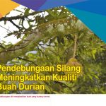 Pendebungaan Silang Meningkatkan Kualiti Buah Durian