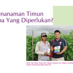 Penanaman Timun, Apa Yang Diperlukan?