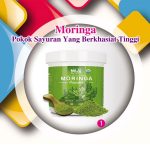 Moringa, Pokok Sayuran Yang Berkhasiat Tinggi