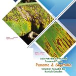 Dua Penyakit Serius Bagi Tanaman Pisang, Panama & Sigatoka, Simptom Penyakit dan Kaedah Kawalan