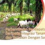 Perbandingan Pendapatan Daripada Integrasi Tanaman dan Ternakan Dengan Sawit