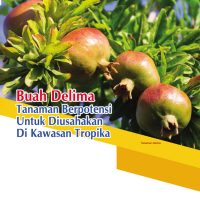 Buah Delima Tanaman Berpotensi Untuk Diusahakan Di Kawasan Tropika