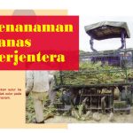 Penanaman Nanas Berjentera