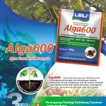 Penyelaras pertumbuhan tanaman seperti ekstrak rumpai laut bermutu tinggi sangat dicari oleh pekebun kerana kesannya yang unggul terhadap kelancaran tumbesaran dan pengeluaran hasil sama ada tanaman kontan ataupun tanaman saka