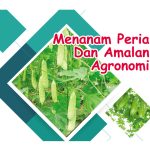 Menanam Peria Dan Amalan Agronomi