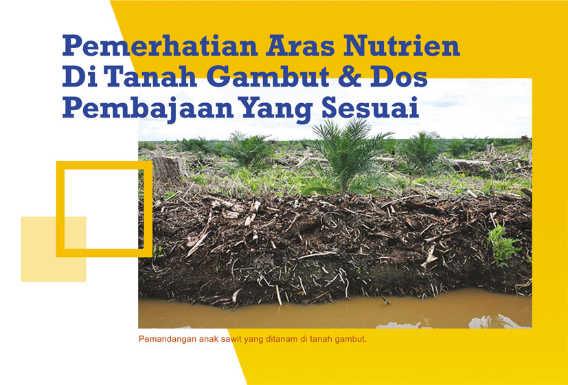 You are currently viewing Pemerhatian Aras Nutrien Di Tanah Gambut & Dos Pembajaan Yang Sesuai