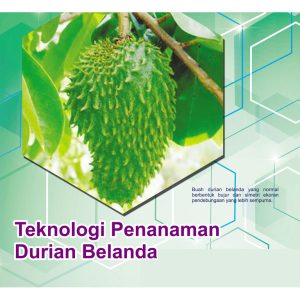 Teknologi Penanaman Durian Belanda