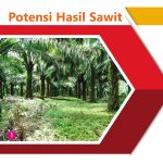 Potensi Hasil Sawit