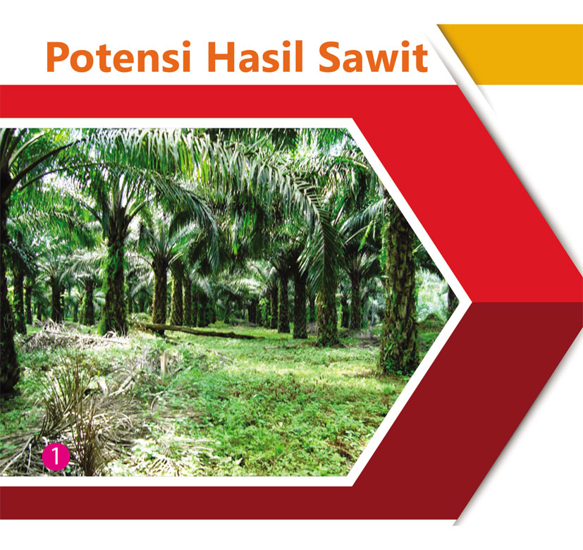 You are currently viewing Potensi Hasil Sawit