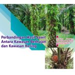 Perbandingan Hasil Sawit Antara Kawasan Berhujan dan Kawasan Kering