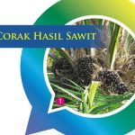 CORAK HASIL SAWIT