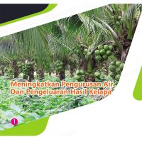 Meningkatkan Pengurusan Air Dan Pengeluaran Hasil Kelapa
