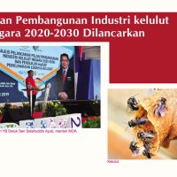 Pelan Pembangunan Industri kelulut Negara 2020-2030 Dilancarkan