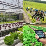 Kerajaan Berhasrat Menambah Graduan Pertanian Untuk Memperkukuhkan Sektor Pertanian Negara