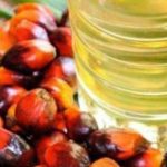 Niaga Hadapan Minyak Sawit Mentah Cenderung Menaik Minggu Depan