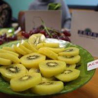 Rivoira Melancarkan Varieti Buah Kiwi Baru Dengan Isi kuning, Rasa Manis Tulen Dan Tiada Rerambut