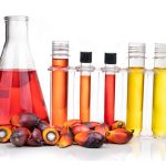 Kementerian Pertanian Hanya Boleh Menggunakan Akta Racun Perosak Untuk Mengambil Tindakan Terhadap Warga Asing Yang Menceburi Industri Sayur-Sayuran Secara Haram